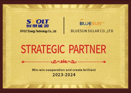 SVOLT ENERGY & BLUESUN SOLAR 1GWH STRAGETIC PARTNERSHIP AGREEMENT