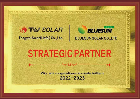 TW SOLAR & BLUESUN SOLAR 5GW STRAGETIC PARTNERSHIP AGREEMENT